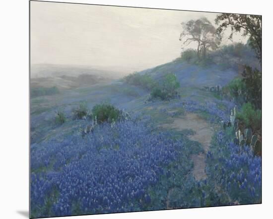 Bluebonnet Field, Early Morning, San Antonio Texas-null-Mounted Giclee Print