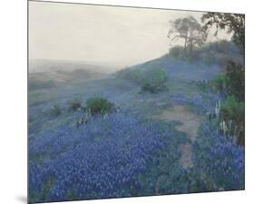 Bluebonnet Field, Early Morning, San Antonio Texas-null-Mounted Giclee Print