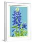 Bluebonnet-Lantern Press-Framed Art Print