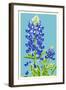 Bluebonnet-Lantern Press-Framed Art Print