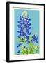 Bluebonnet-Lantern Press-Framed Art Print