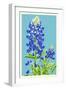 Bluebonnet-Lantern Press-Framed Art Print