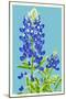 Bluebonnet-Lantern Press-Mounted Art Print