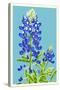 Bluebonnet-Lantern Press-Stretched Canvas