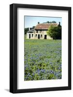 Bluebonnets 3-John Gusky-Framed Photographic Print