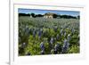 Bluebonnets 6-John Gusky-Framed Photographic Print