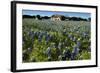 Bluebonnets 6-John Gusky-Framed Photographic Print