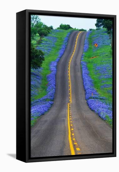 Bluebonnets Along a Highway-Darrell Gulin-Framed Stretched Canvas