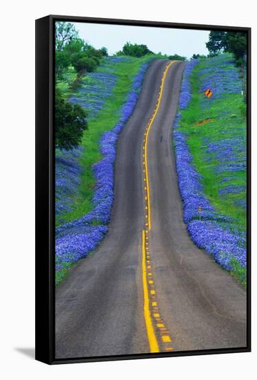 Bluebonnets Along a Highway-Darrell Gulin-Framed Stretched Canvas