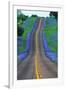 Bluebonnets Along a Highway-Darrell Gulin-Framed Premium Photographic Print