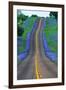 Bluebonnets Along a Highway-Darrell Gulin-Framed Premium Photographic Print