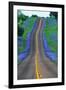 Bluebonnets Along a Highway-Darrell Gulin-Framed Premium Photographic Print