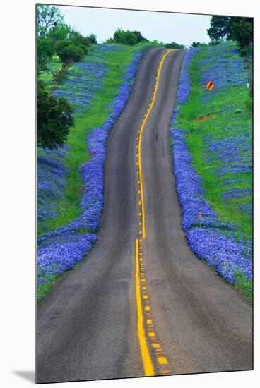 Bluebonnets Along a Highway-Darrell Gulin-Mounted Premium Photographic Print