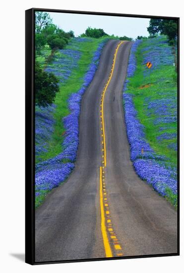 Bluebonnets Along a Highway-Darrell Gulin-Framed Stretched Canvas