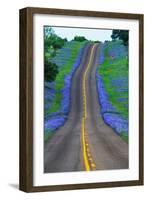 Bluebonnets Along a Highway-Darrell Gulin-Framed Photographic Print