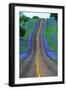 Bluebonnets Along a Highway-Darrell Gulin-Framed Photographic Print