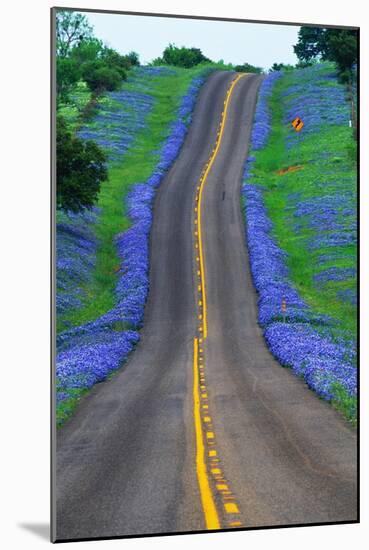 Bluebonnets Along a Highway-Darrell Gulin-Mounted Photographic Print