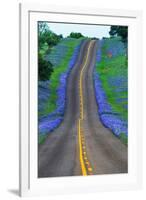 Bluebonnets Along a Highway-Darrell Gulin-Framed Photographic Print