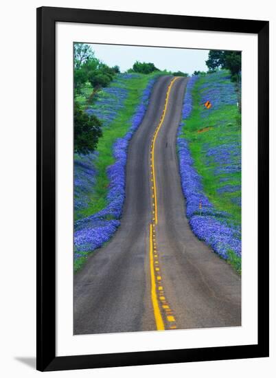 Bluebonnets Along a Highway-Darrell Gulin-Framed Photographic Print