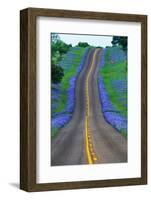 Bluebonnets Along a Highway-Darrell Gulin-Framed Photographic Print