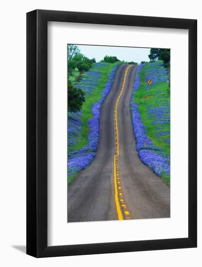 Bluebonnets Along a Highway-Darrell Gulin-Framed Photographic Print