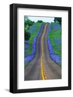 Bluebonnets Along a Highway-Darrell Gulin-Framed Photographic Print