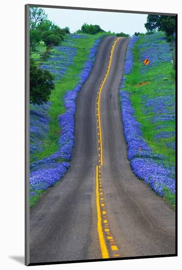 Bluebonnets Along a Highway-Darrell Gulin-Mounted Photographic Print