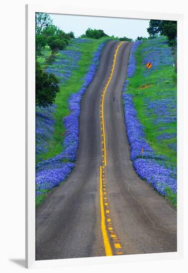 Bluebonnets Along a Highway-Darrell Gulin-Framed Photographic Print