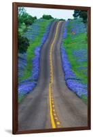 Bluebonnets Along a Highway-Darrell Gulin-Framed Photographic Print