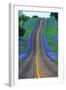 Bluebonnets Along a Highway-Darrell Gulin-Framed Photographic Print