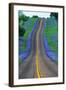 Bluebonnets Along a Highway-Darrell Gulin-Framed Photographic Print