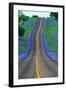 Bluebonnets Along a Highway-Darrell Gulin-Framed Photographic Print