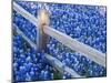 Bluebonnets Along Fenceline-Terry Eggers-Mounted Photographic Print