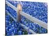 Bluebonnets Along Fenceline-Terry Eggers-Stretched Canvas