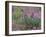 Bluebonnets among Phlox, Hill Country, Texas, USA-Adam Jones-Framed Premium Photographic Print