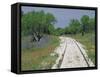 Bluebonnets and Abandoned Rails, near Marble Falls, Texas, USA-Darrell Gulin-Framed Stretched Canvas