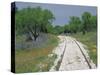 Bluebonnets and Abandoned Rails, near Marble Falls, Texas, USA-Darrell Gulin-Stretched Canvas
