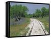 Bluebonnets and Abandoned Rails, near Marble Falls, Texas, USA-Darrell Gulin-Framed Stretched Canvas