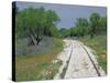 Bluebonnets and Abandoned Rails, near Marble Falls, Texas, USA-Darrell Gulin-Stretched Canvas