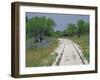 Bluebonnets and Abandoned Rails, near Marble Falls, Texas, USA-Darrell Gulin-Framed Premium Photographic Print