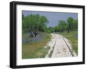 Bluebonnets and Abandoned Rails, near Marble Falls, Texas, USA-Darrell Gulin-Framed Premium Photographic Print