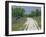 Bluebonnets and Abandoned Rails, near Marble Falls, Texas, USA-Darrell Gulin-Framed Premium Photographic Print