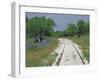 Bluebonnets and Abandoned Rails, near Marble Falls, Texas, USA-Darrell Gulin-Framed Premium Photographic Print