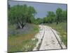 Bluebonnets and Abandoned Rails, near Marble Falls, Texas, USA-Darrell Gulin-Mounted Premium Photographic Print