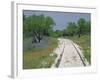 Bluebonnets and Abandoned Rails, near Marble Falls, Texas, USA-Darrell Gulin-Framed Photographic Print