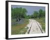 Bluebonnets and Abandoned Rails, near Marble Falls, Texas, USA-Darrell Gulin-Framed Photographic Print