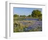 Bluebonnets and Oak Tree, Hill Country, Texas, USA-Alice Garland-Framed Photographic Print