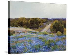 Bluebonnets at Late Afternoon-null-Stretched Canvas
