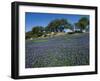 Bluebonnets, Hill Country, Texas, USA-Dee Ann Pederson-Framed Photographic Print