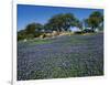 Bluebonnets, Hill Country, Texas, USA-Dee Ann Pederson-Framed Photographic Print